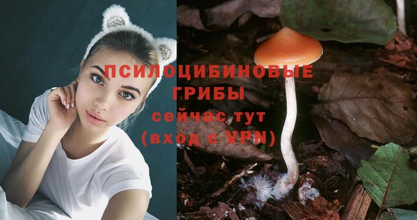 прущая мука Алзамай