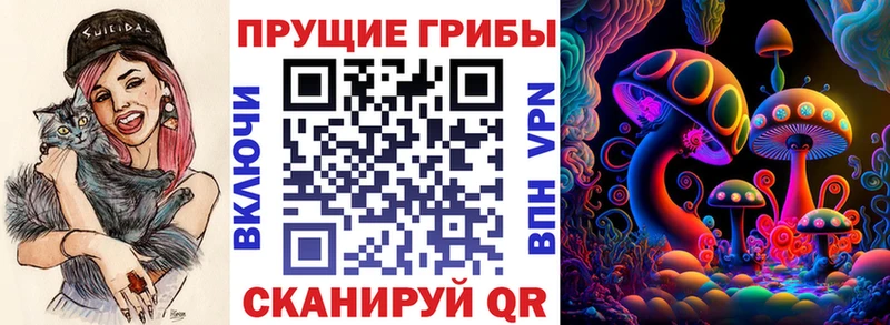 Псилоцибиновые грибы Cubensis где купить Минусинск